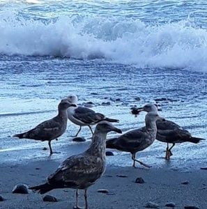 Meet your Posher, Juan